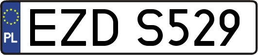 EZDS529