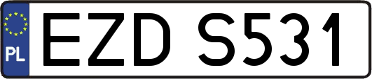 EZDS531