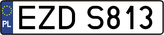 EZDS813