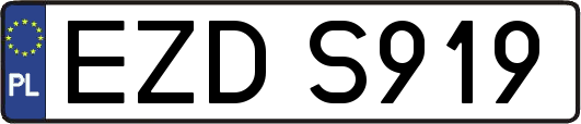 EZDS919