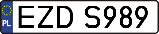 EZDS989