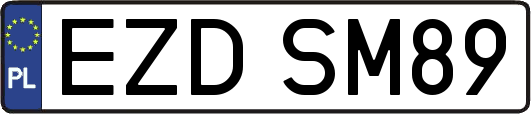 EZDSM89