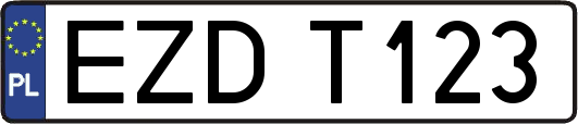EZDT123