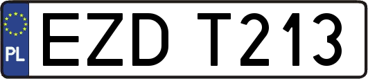 EZDT213