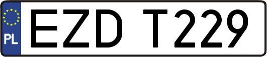 EZDT229