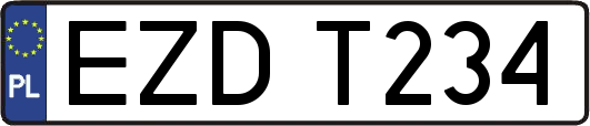 EZDT234
