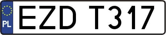 EZDT317
