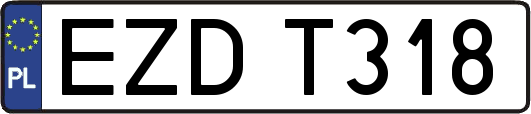 EZDT318