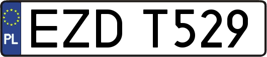 EZDT529