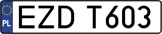 EZDT603