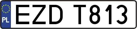 EZDT813