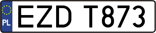 EZDT873