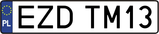 EZDTM13