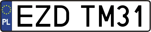 EZDTM31