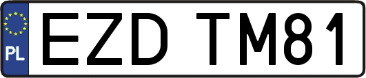 EZDTM81
