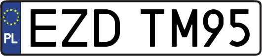 EZDTM95