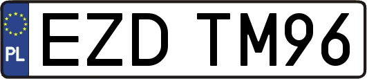 EZDTM96