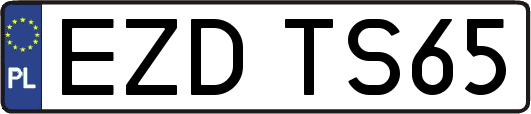 EZDTS65