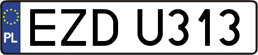 EZDU313