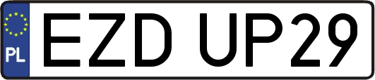 EZDUP29