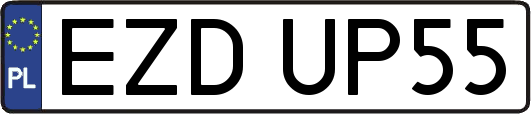 EZDUP55