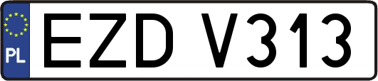 EZDV313