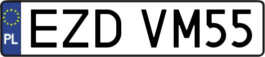 EZDVM55