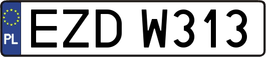 EZDW313