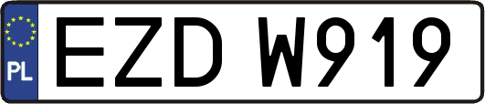 EZDW919