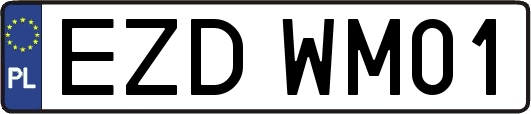 EZDWM01