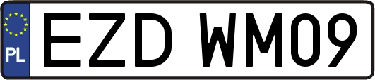 EZDWM09