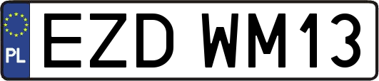 EZDWM13