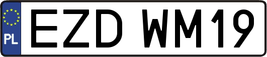 EZDWM19