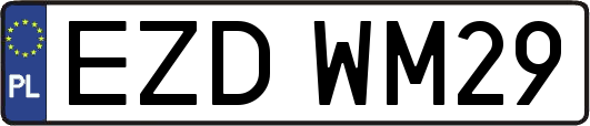 EZDWM29
