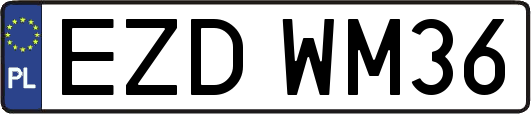 EZDWM36