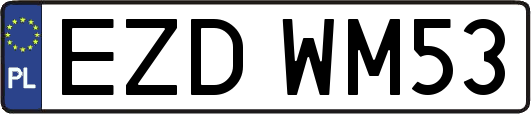 EZDWM53