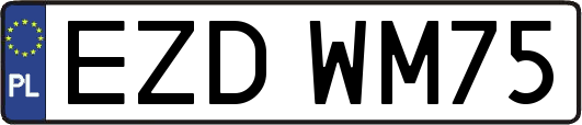 EZDWM75