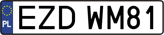 EZDWM81
