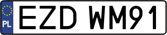 EZDWM91