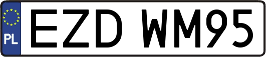 EZDWM95