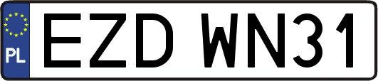 EZDWN31