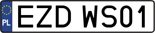 EZDWS01