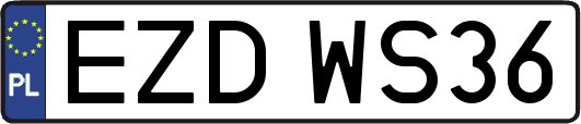 EZDWS36