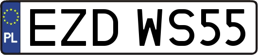EZDWS55