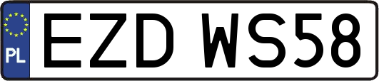 EZDWS58