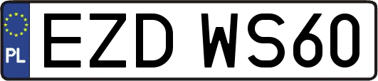 EZDWS60