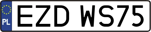 EZDWS75