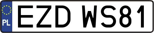 EZDWS81