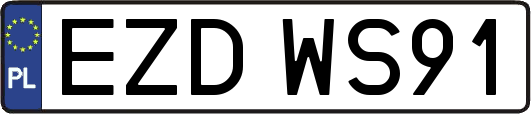 EZDWS91