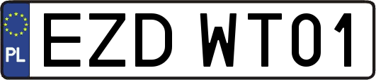 EZDWT01